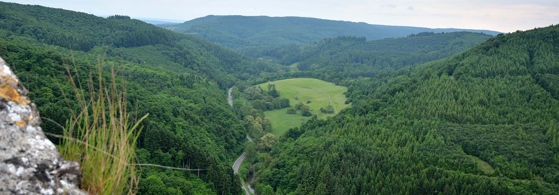Burg Arras Alf Mosel