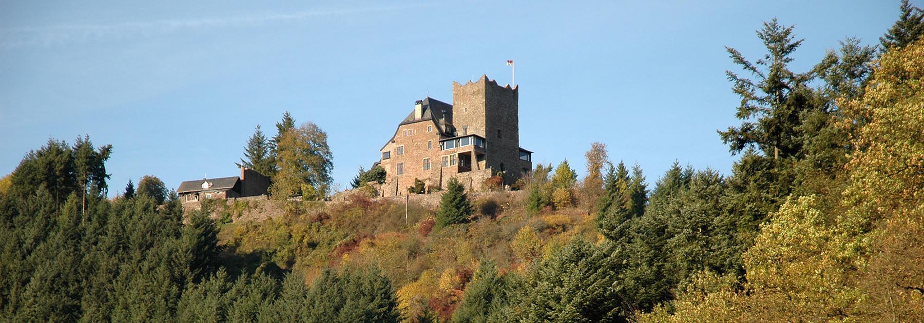 Burg Arras Alf Mosel