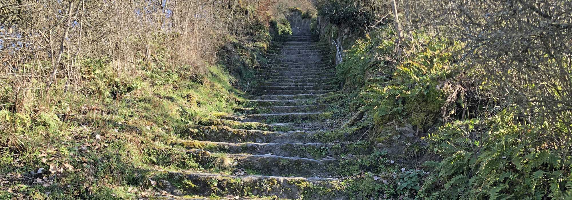 Ruine Grevenburg über Traben-Trarbach Mosel