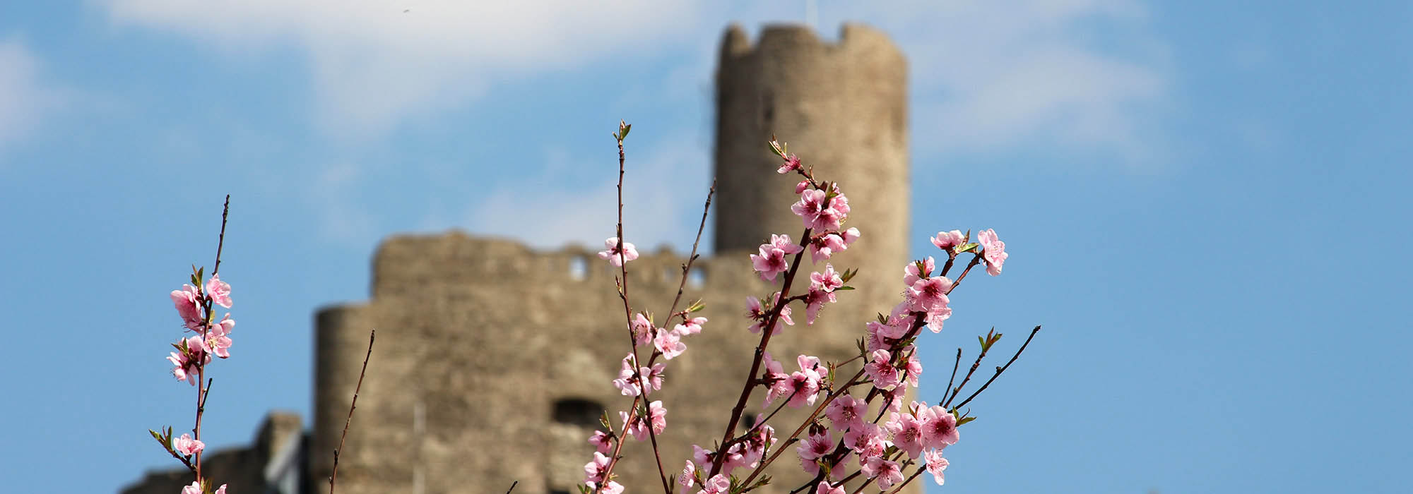 Burg Landshut Bernkastel-Kues Mosel