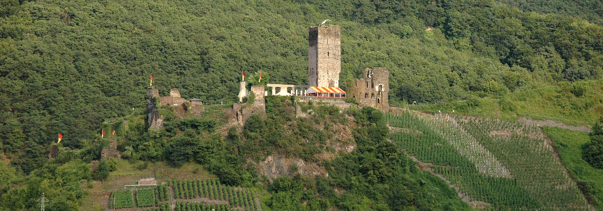 Beilstein Mosel Burgruine Metternich