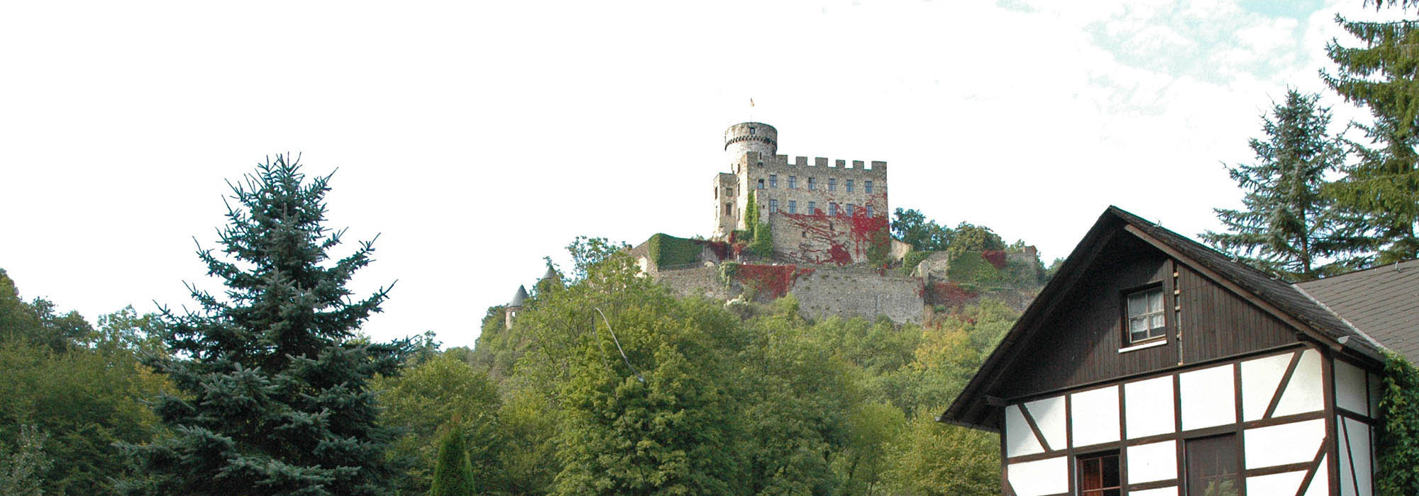 Burg Pyrmont am Elzbach zwischen Roes und Pillig Mosel