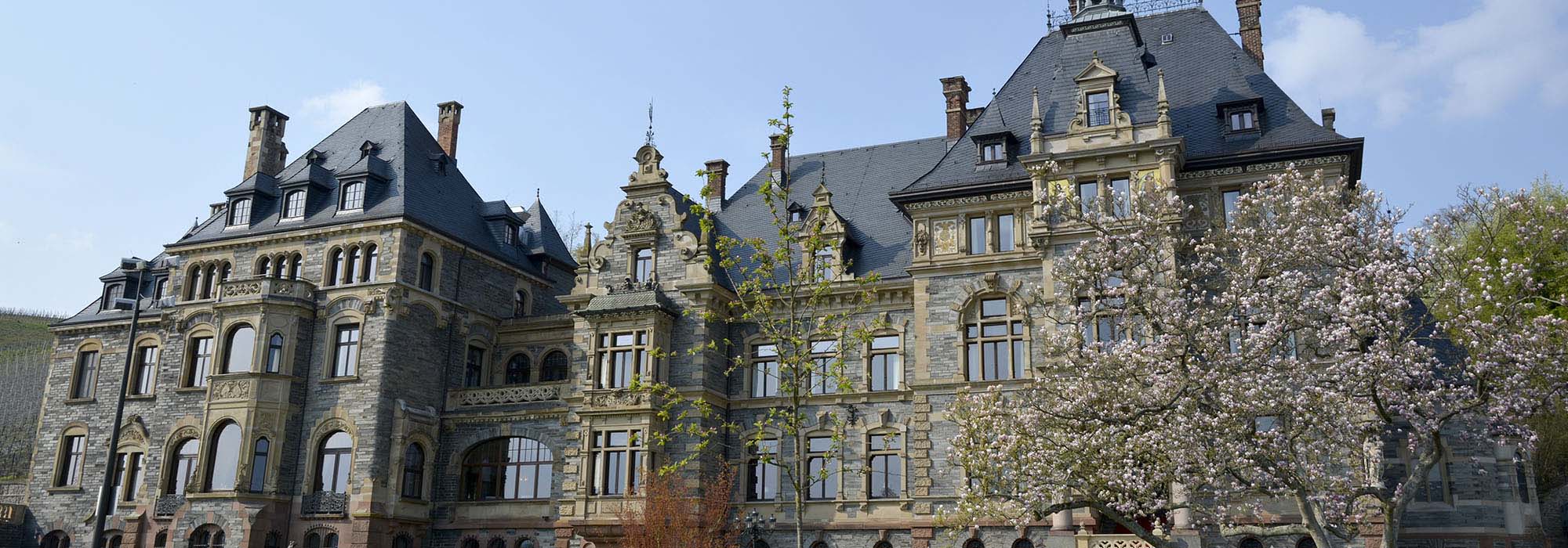 Schloss Lieser Mosel Hotel