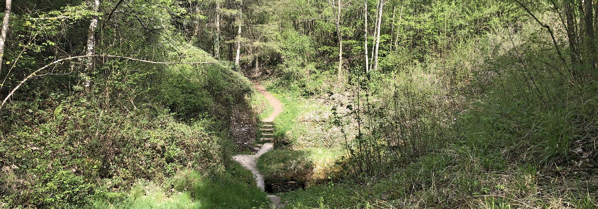 Traben-Trarbach Mosel Mont Royal