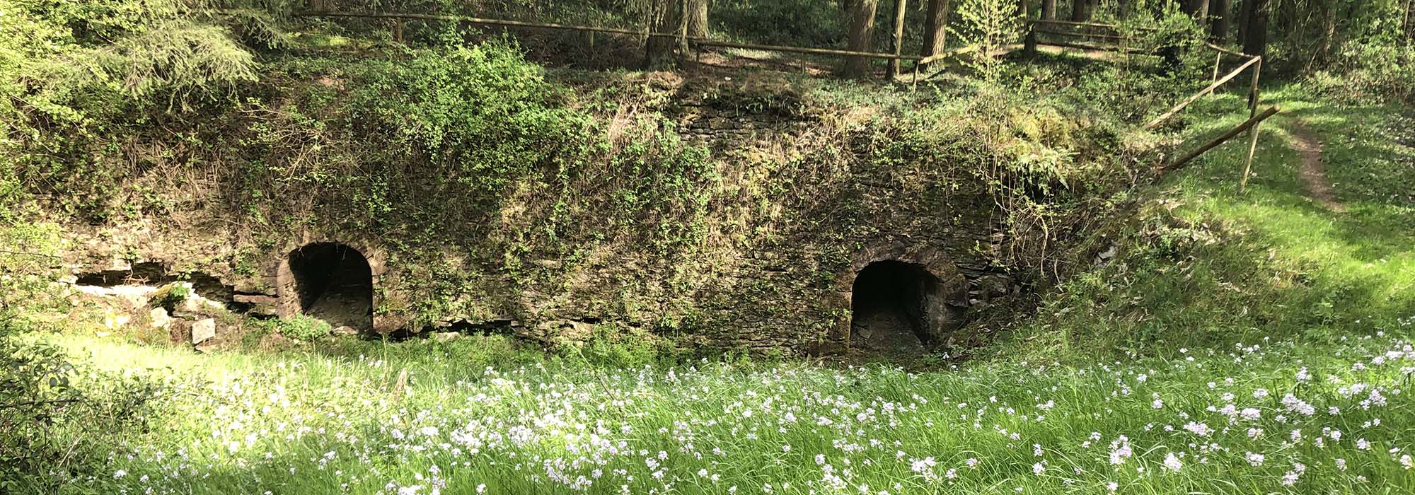 Traben-Trarbach Mosel Mont Royal