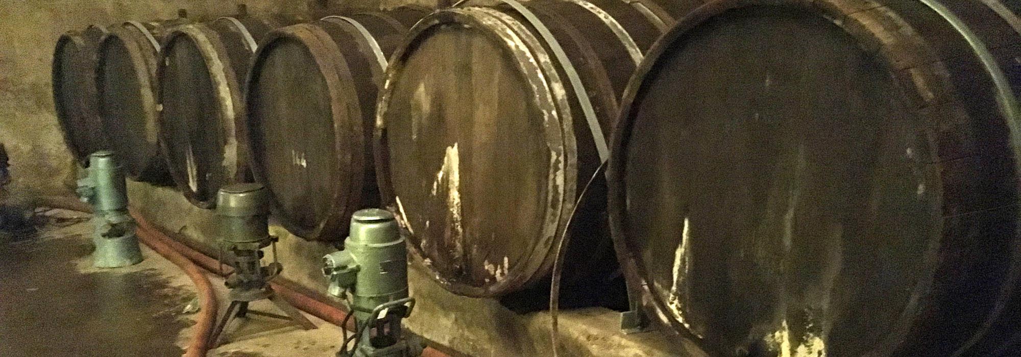 Traben-Trarbach Mosel Unterwelt