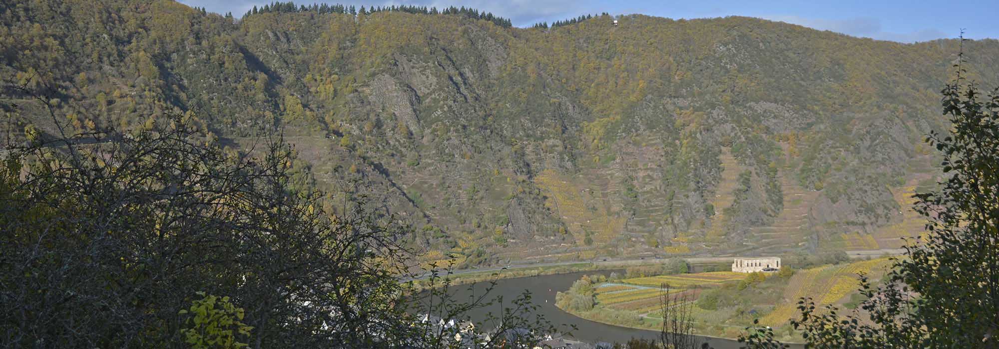 Calmont – Der steilste Weinberg Europas Ediger-Eller Bremm Mosel