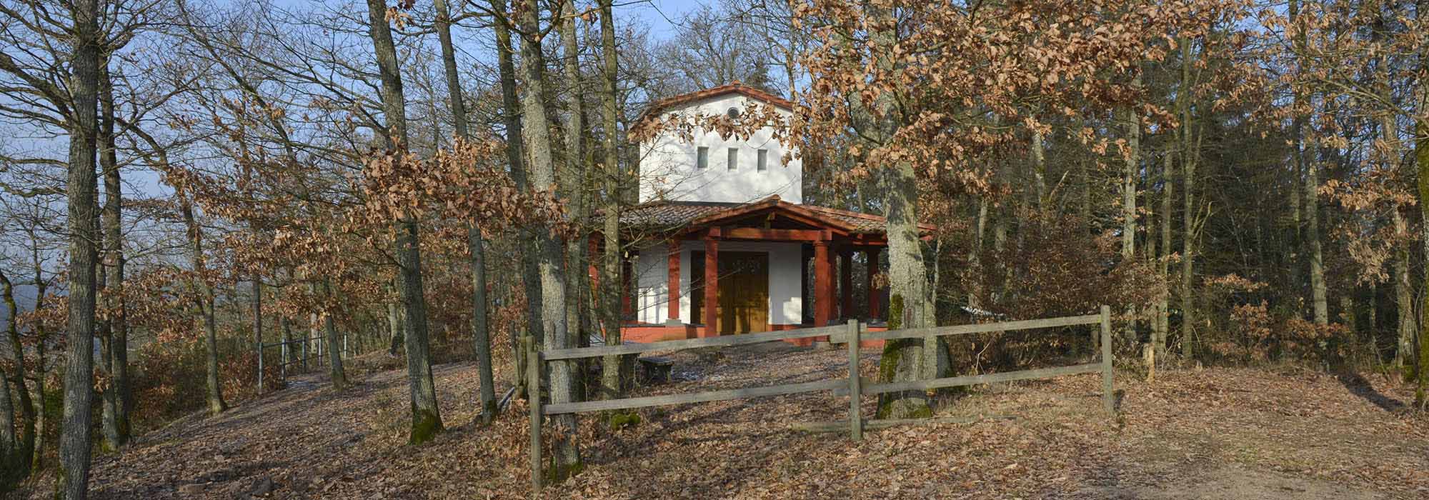 Calmont – Der steilste Weinberg Europas Ediger-Eller Bremm Mosel