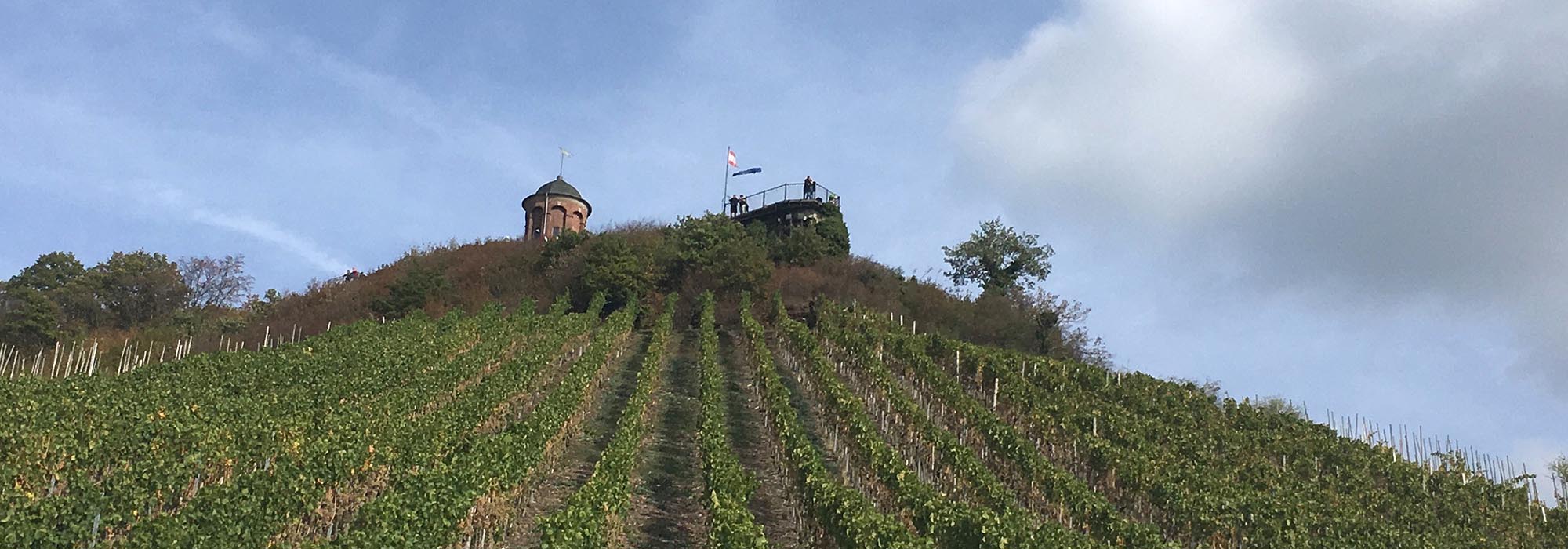Collis Turm Zell Mosel