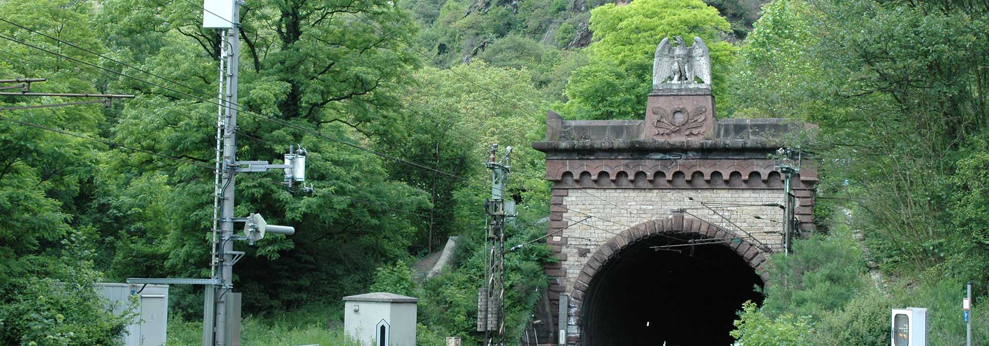 Naturschutzgebiet Ellerbachtal mit dem Ellerbach bei Ediger-Eller