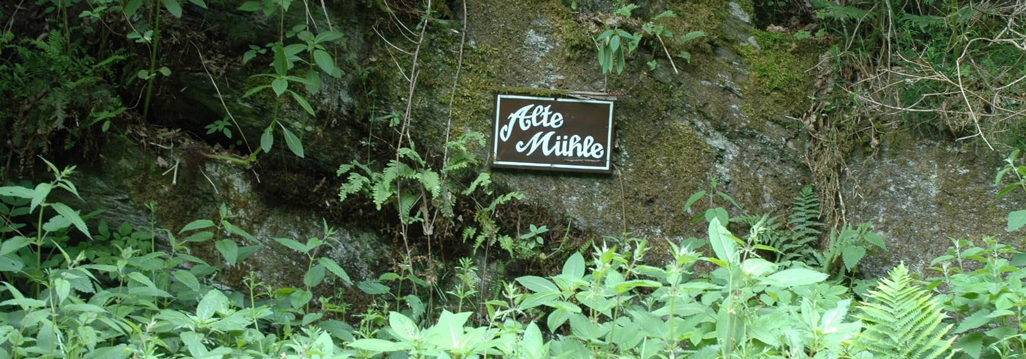 Naturschutzgebiet Ellerbachtal mit dem Ellerbach bei Ediger-Eller