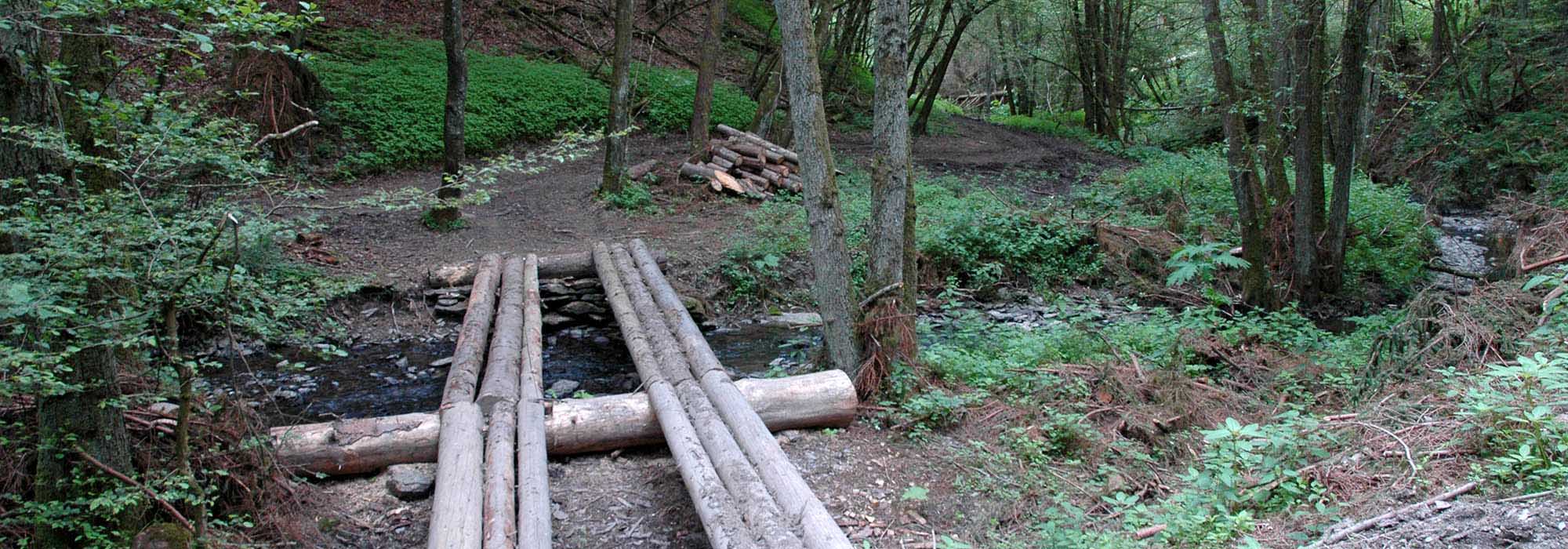 Naturschutzgebiet Ellerbachtal mit dem Ellerbach bei Ediger-Eller