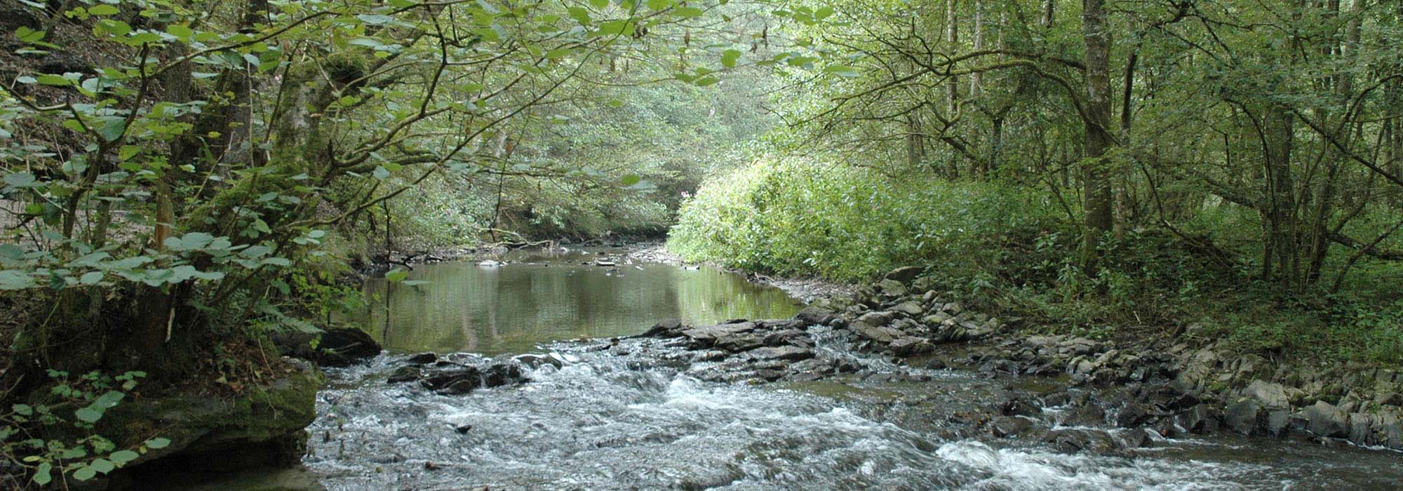 Elzbachtal Moselkern Burg Eltz