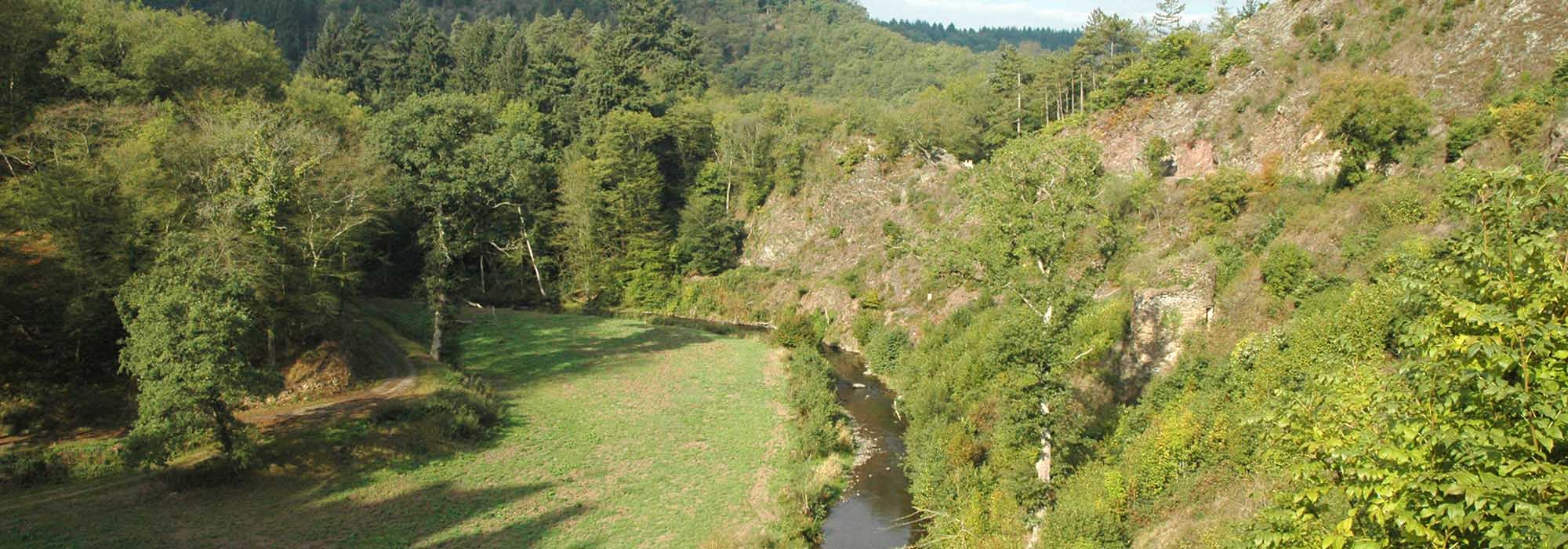 Elzbachtal Moselkern Burg Eltz