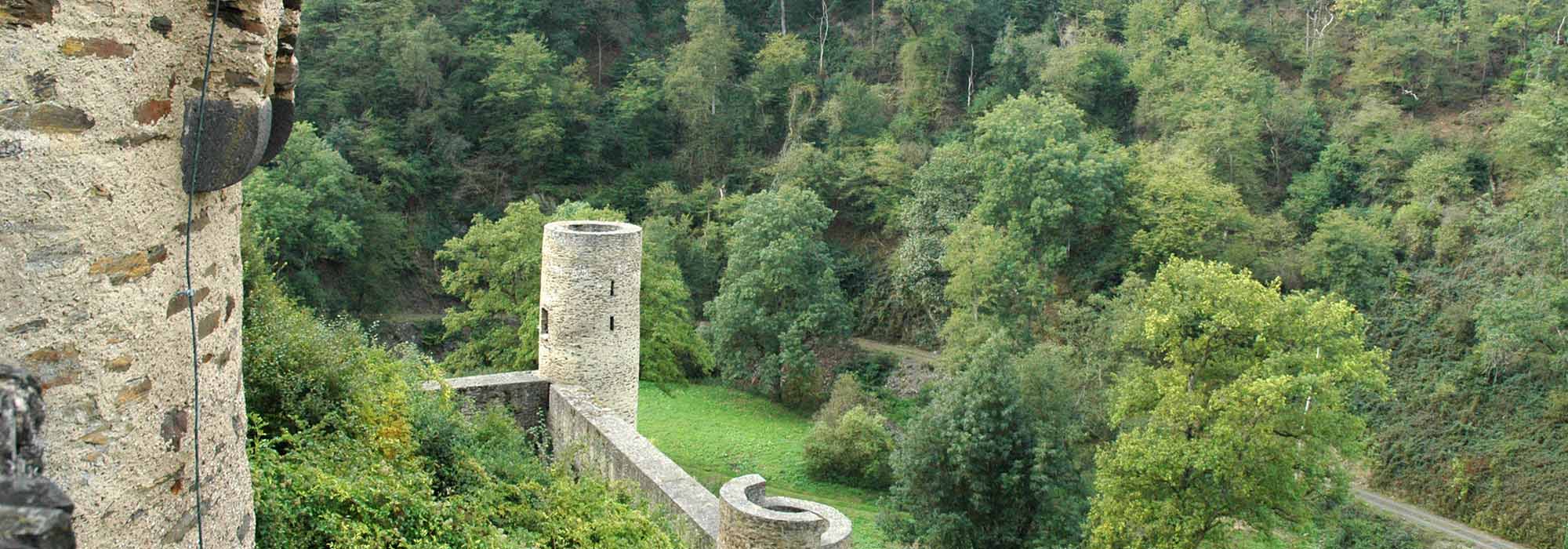 Elzbachtal Moselkern Burg Eltz