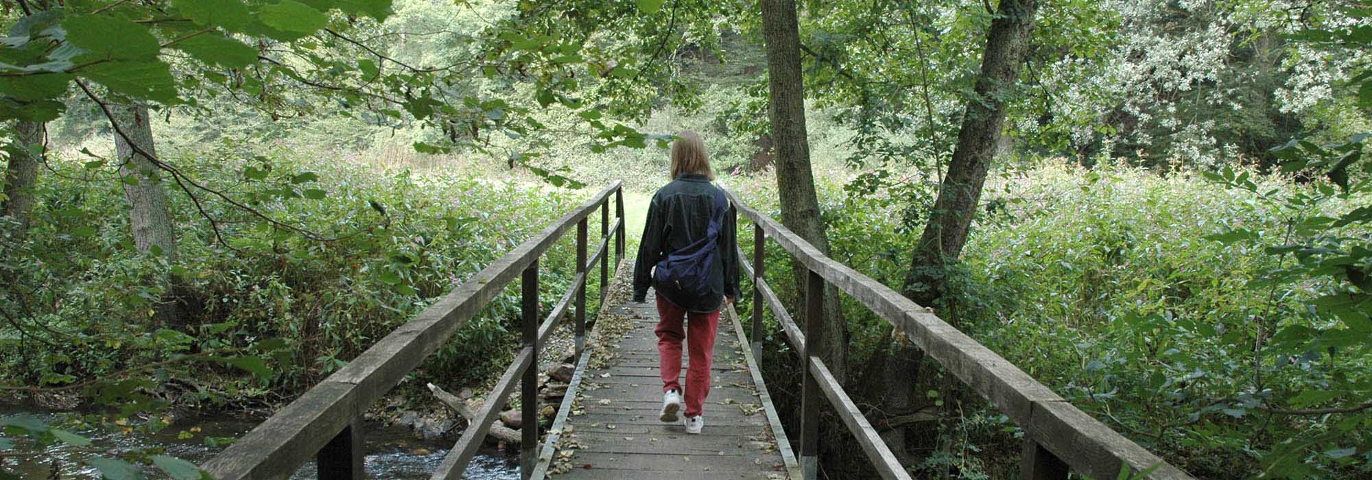 Elzbachtal Moselkern Burg Eltz
