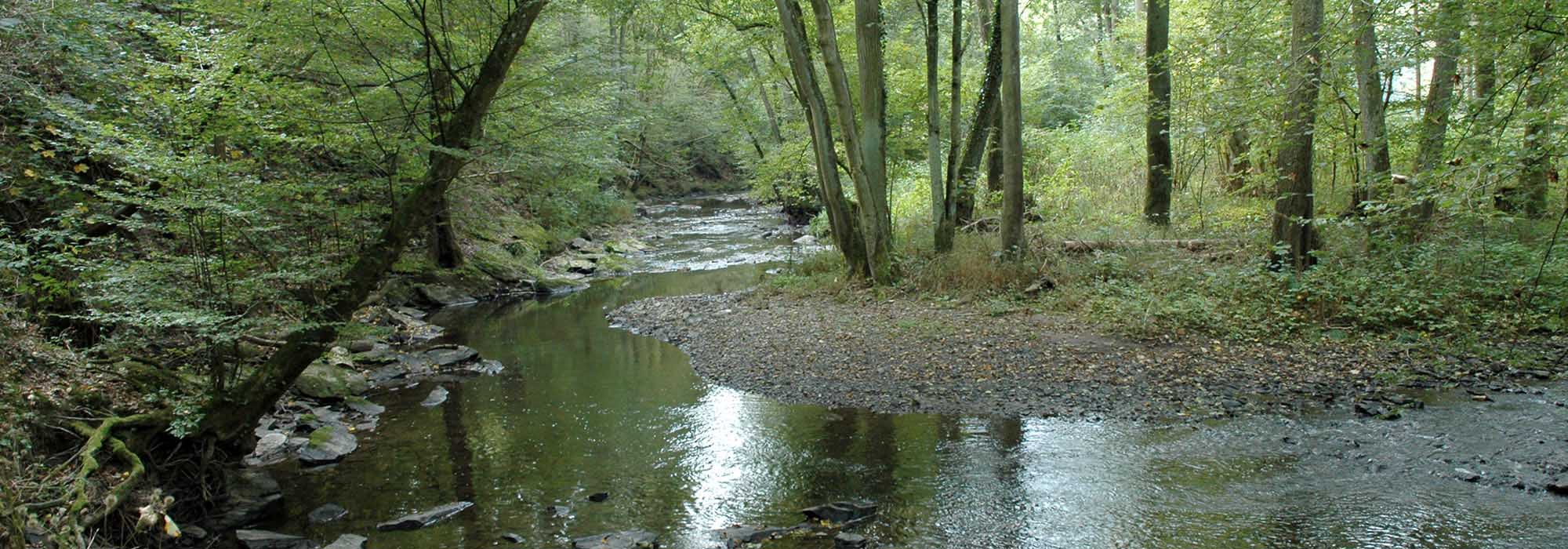 Elzbachtal Moselkern Burg Eltz