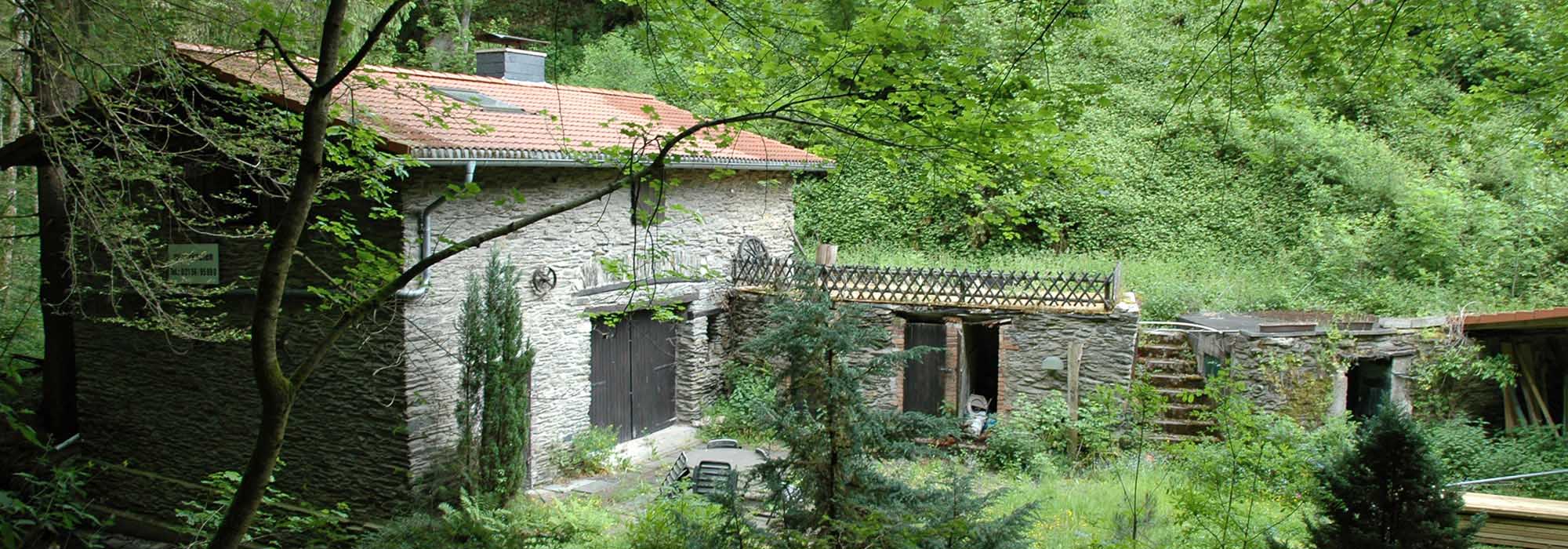 Endertbachtal Cochem Zufluss der Mosel