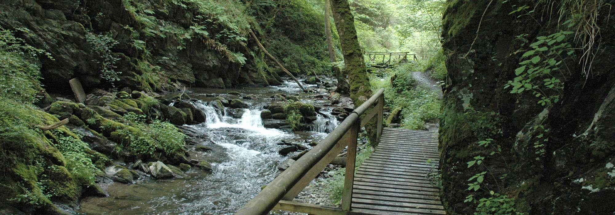 Endertbachtal Cochem Zufluss der Mosel