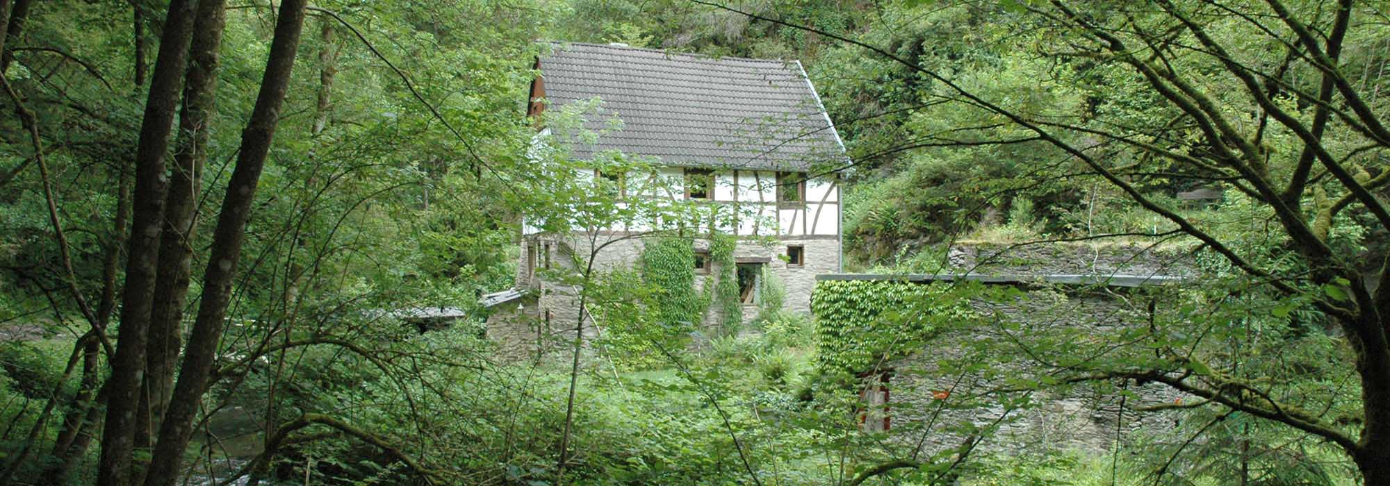 Endertbachtal Cochem Zufluss der Mosel
