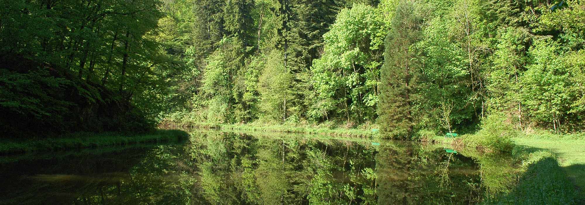 Im Liesertal liegt die Lieser, Zufluss der Mosel. Sie entspringt in der Hocheifel, die Quelle liegt bei Boxberg im Landkreis Vulkaneifel.