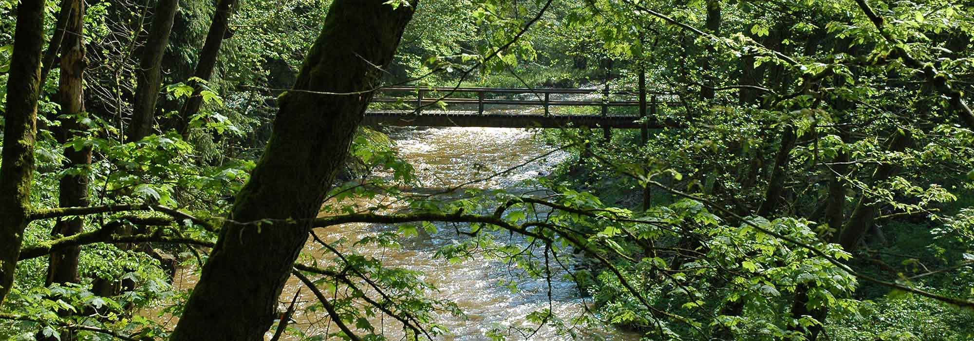 Im Liesertal liegt die Lieser, Zufluss der Mosel. Sie entspringt in der Hocheifel, die Quelle liegt bei Boxberg im Landkreis Vulkaneifel.