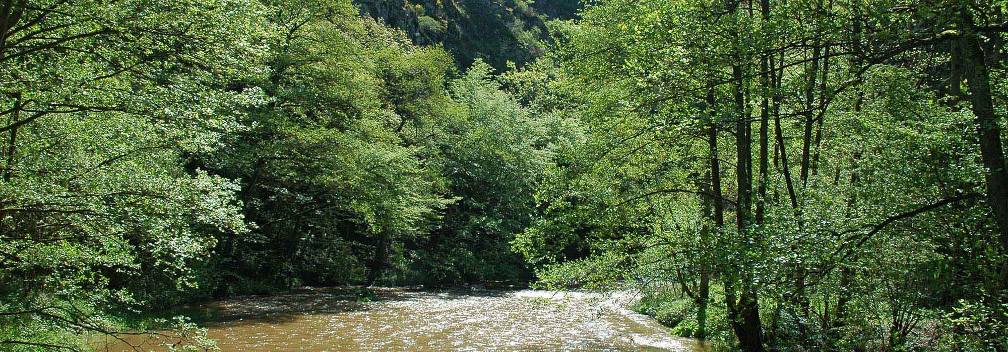 Im Liesertal liegt die Lieser, Zufluss der Mosel. Sie entspringt in der Hocheifel, die Quelle liegt bei Boxberg im Landkreis Vulkaneifel.