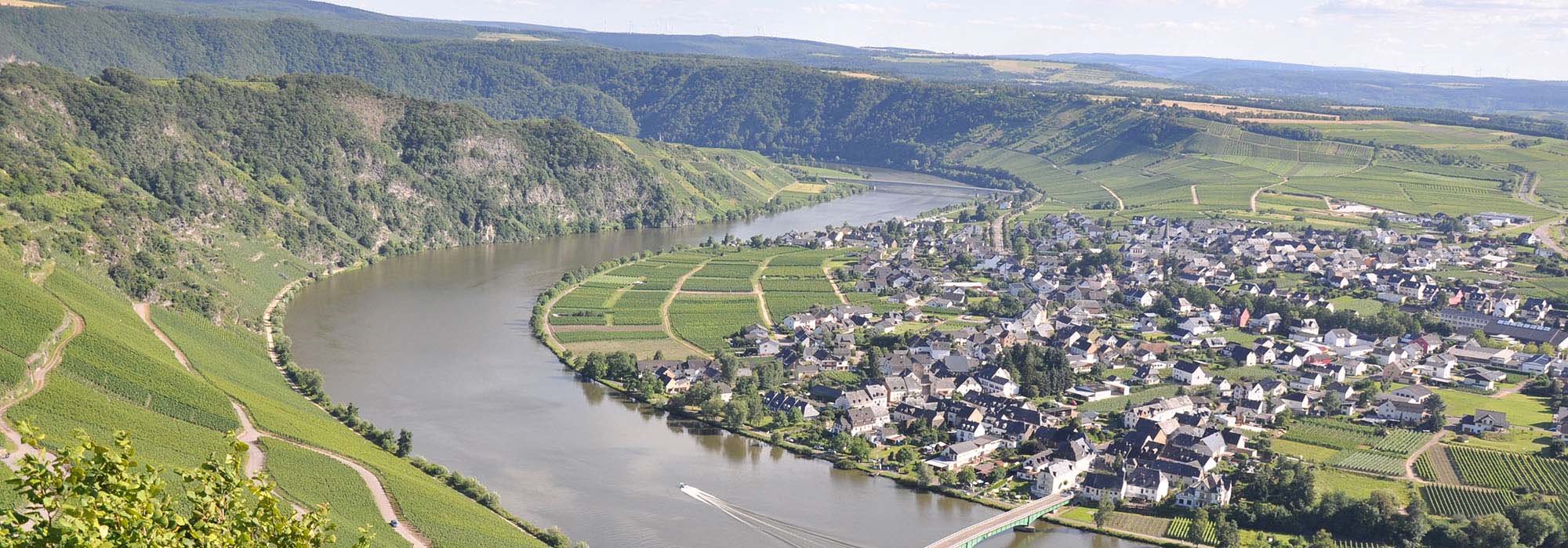 Die romantische Moselloreley Piesport Mosel