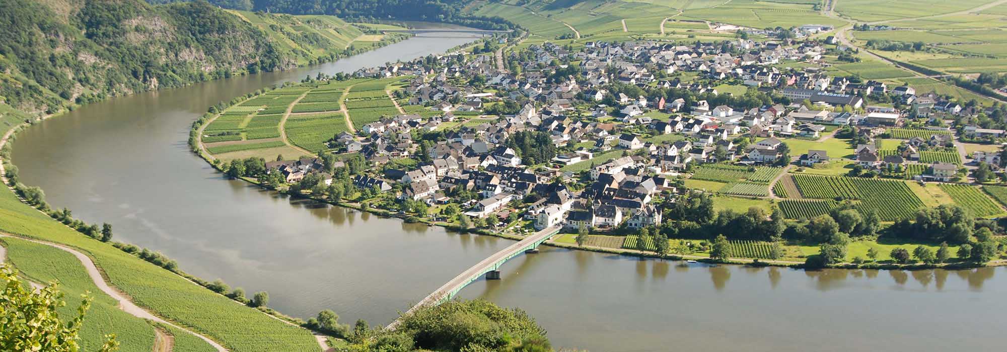 Die romantische Moselloreley Piesport Mosel