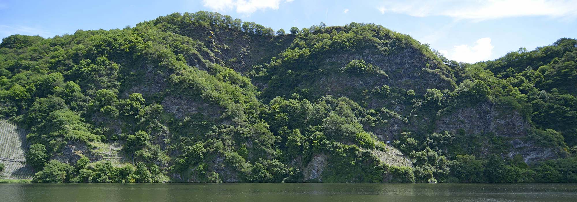 Die romantische Moselloreley Piesport Mosel