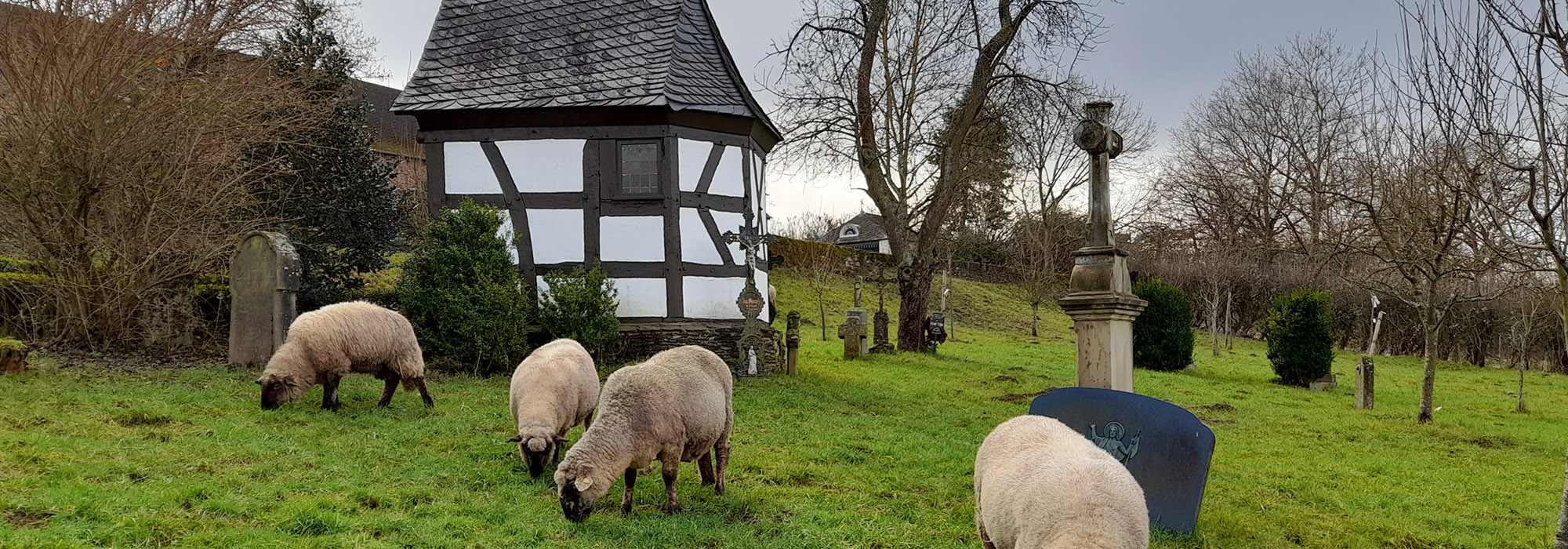 Freilichtmuseum Roscheider Hof Konz Mosel