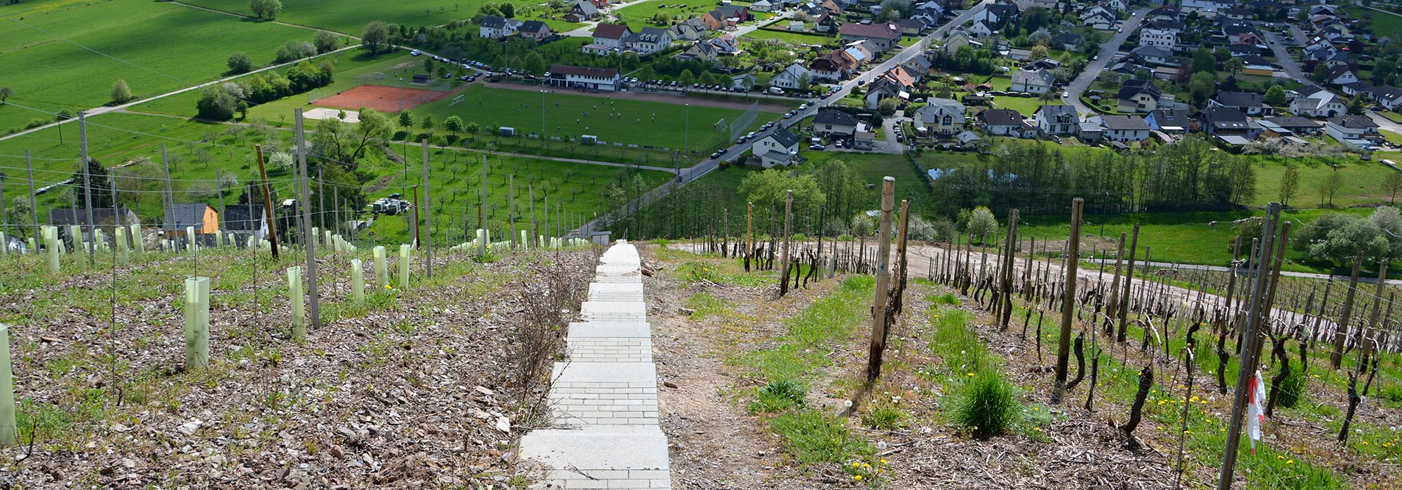 Treppe Ayl Mosel