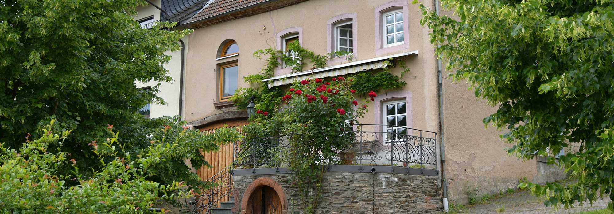 Burgen Veldenz Mosel