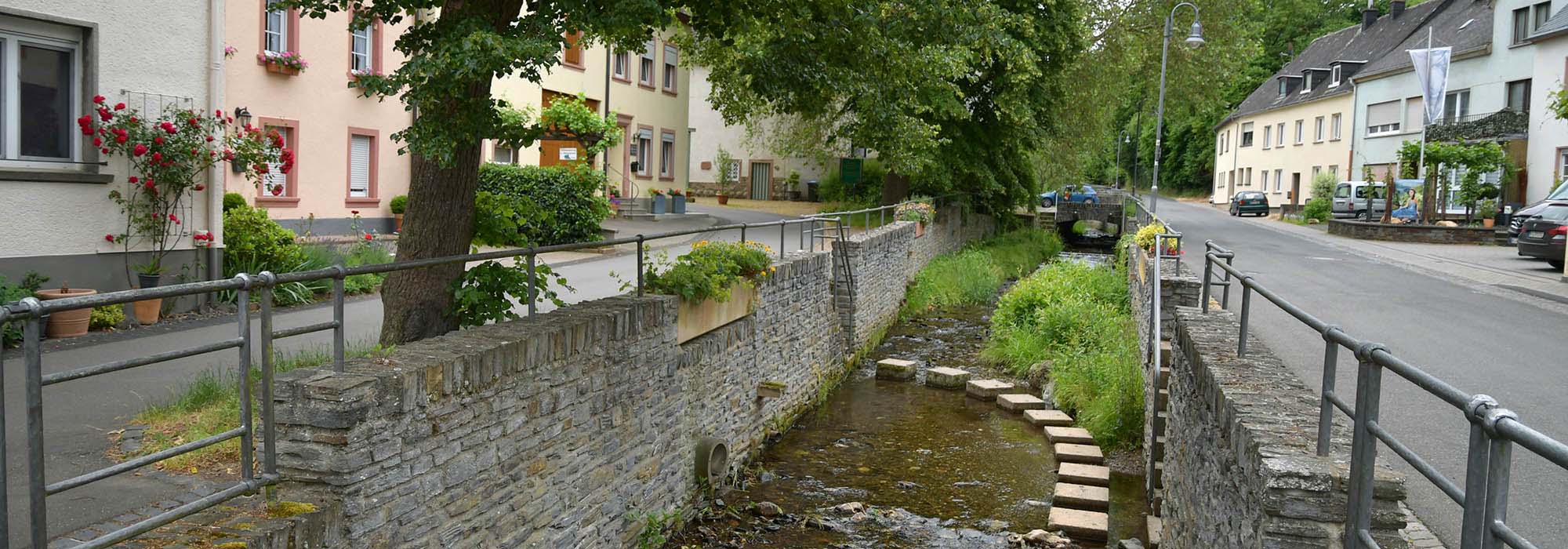 Burgen bei Veldenz (Mosel)