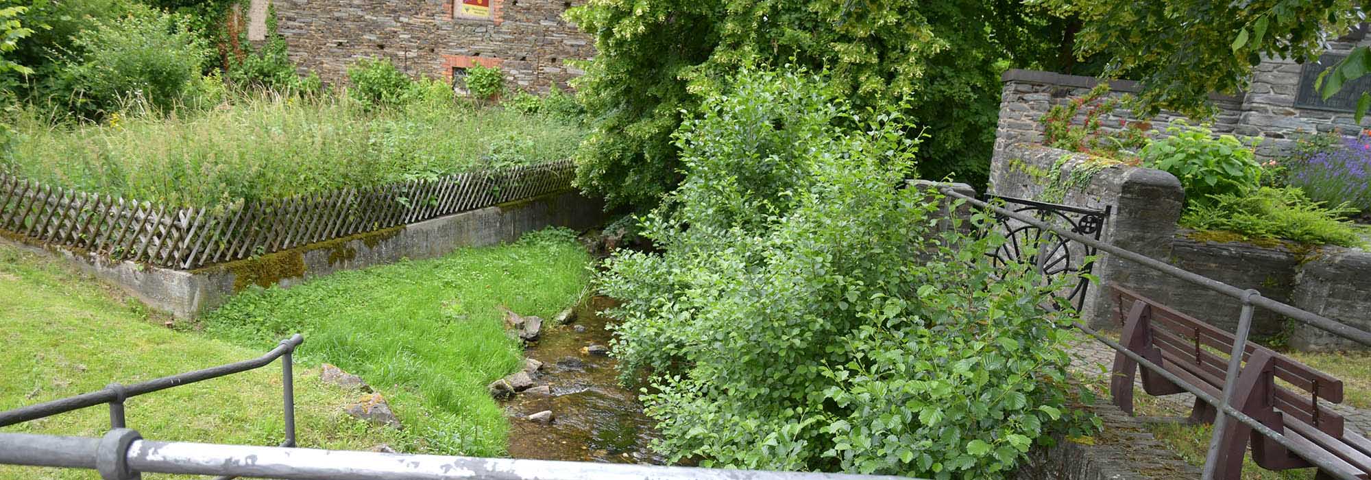 Burgen Veldenz Mosel