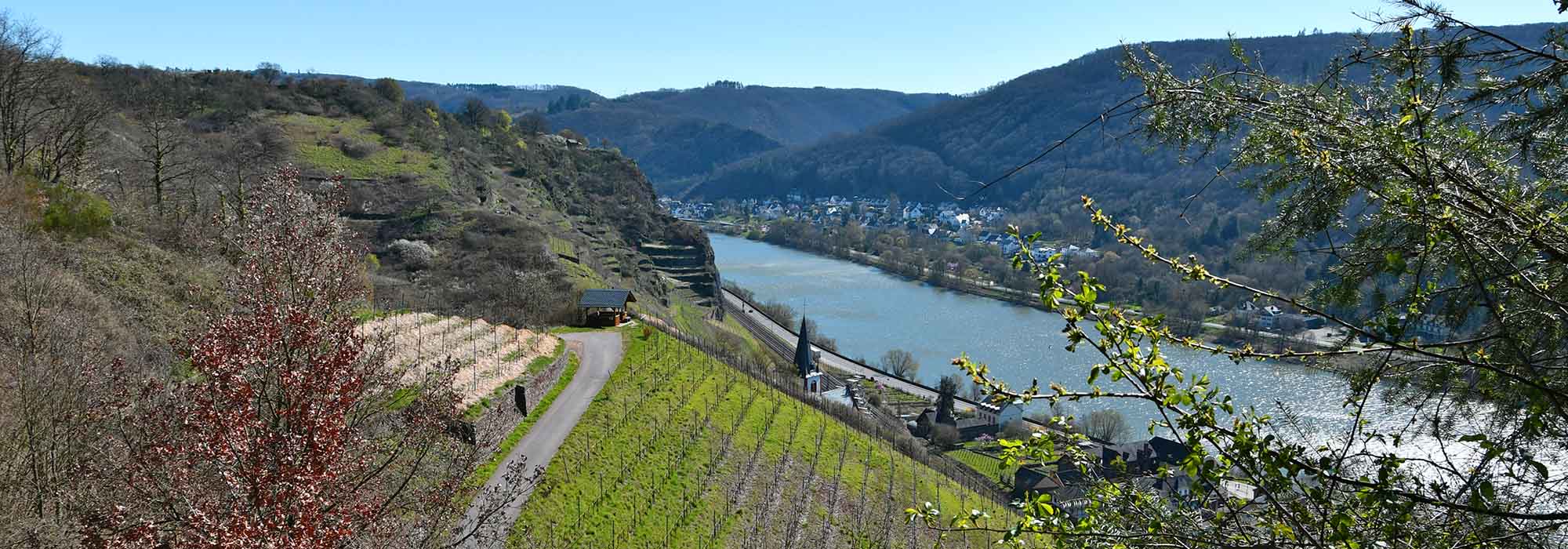 Hatzenport Mosel Laysteig