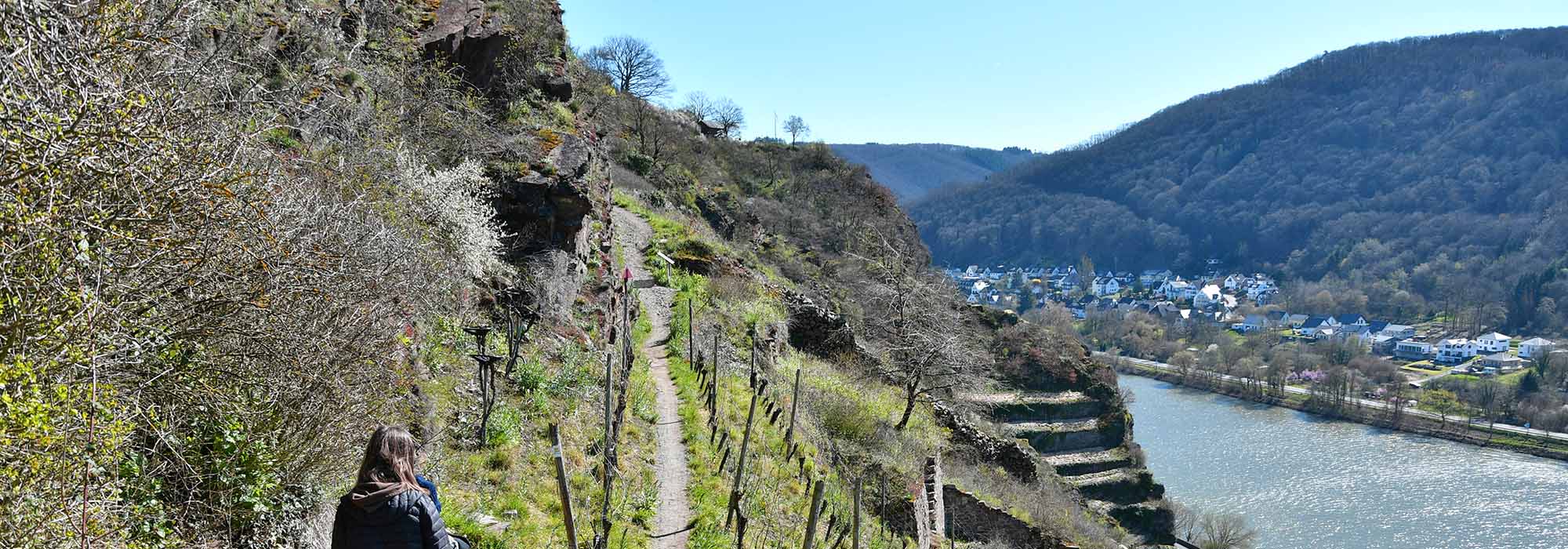 Hatzenport Mosel Laysteig