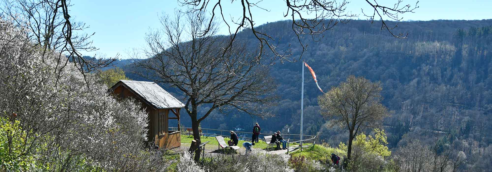 Hatzenport Mosel Laysteig