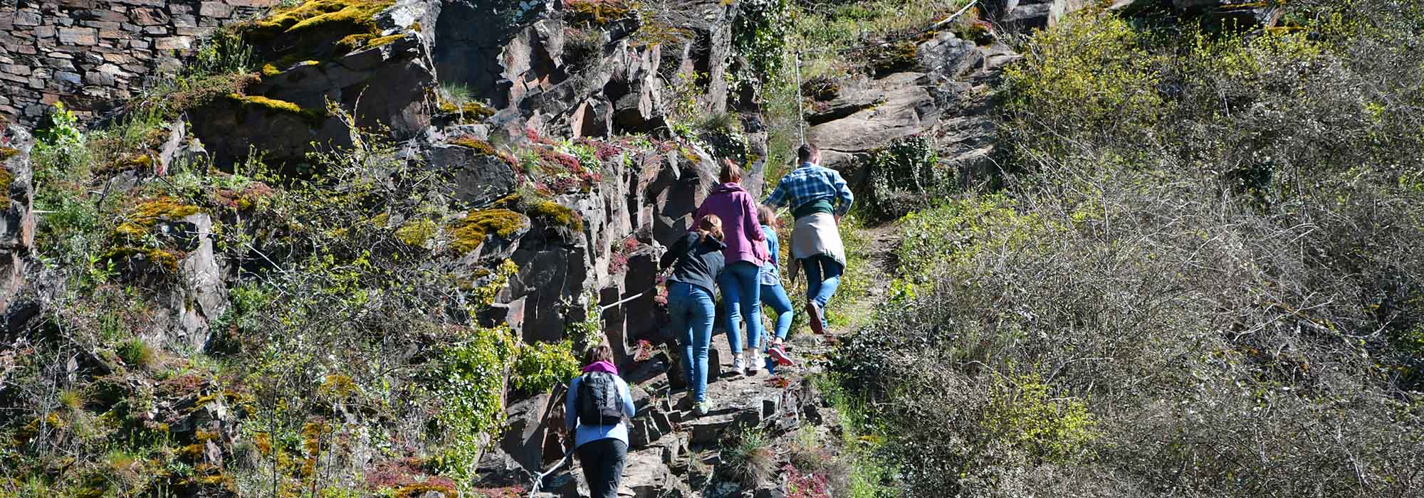 Hatzenport Mosel Laysteig