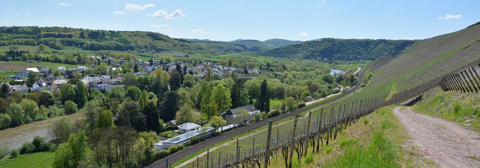 Kanzem Mosel