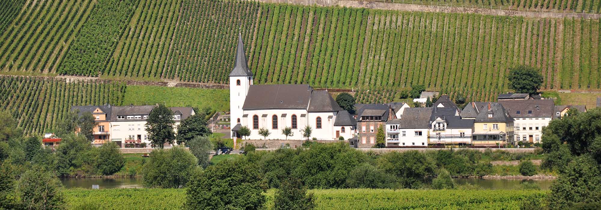 Kesten Mosel