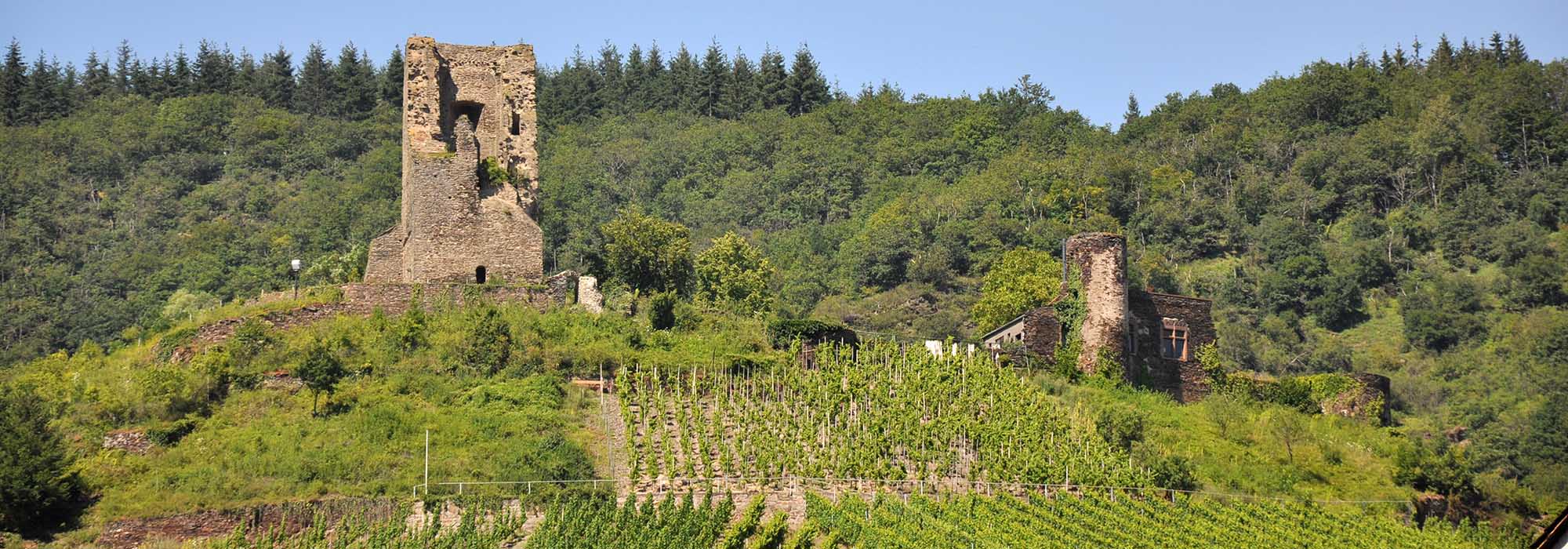 Burg-Coraidelstein Klotten Mosel