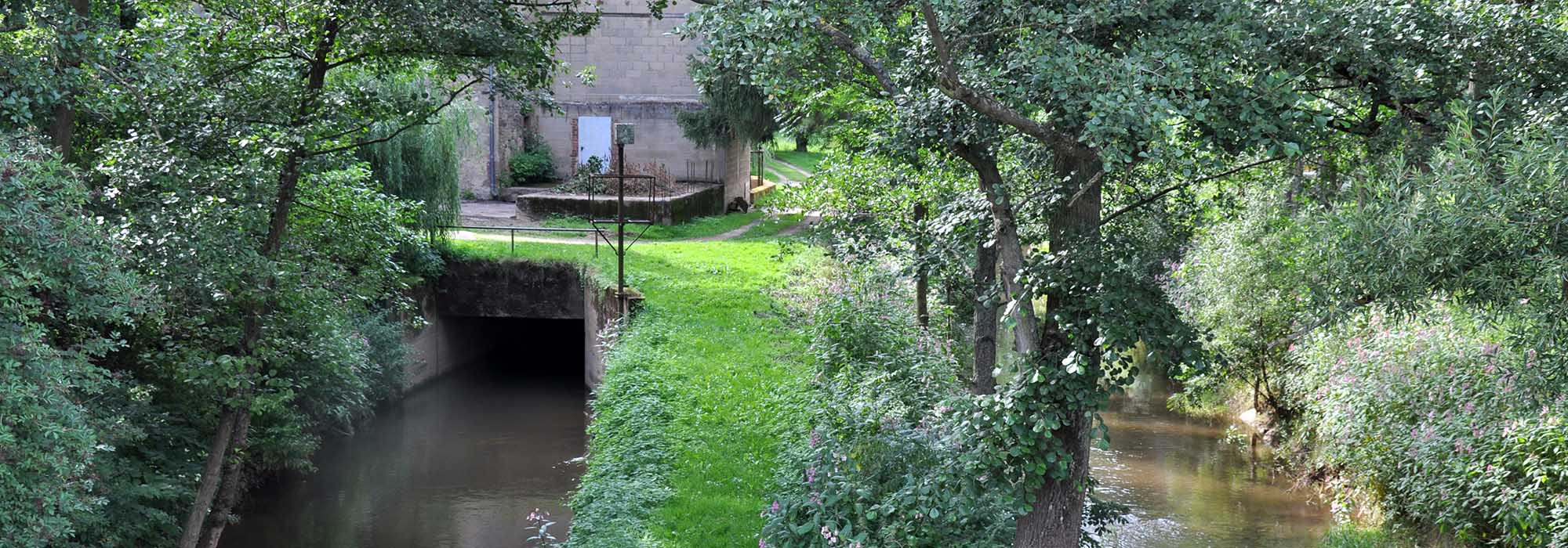 Klüsserath Mosel Bach