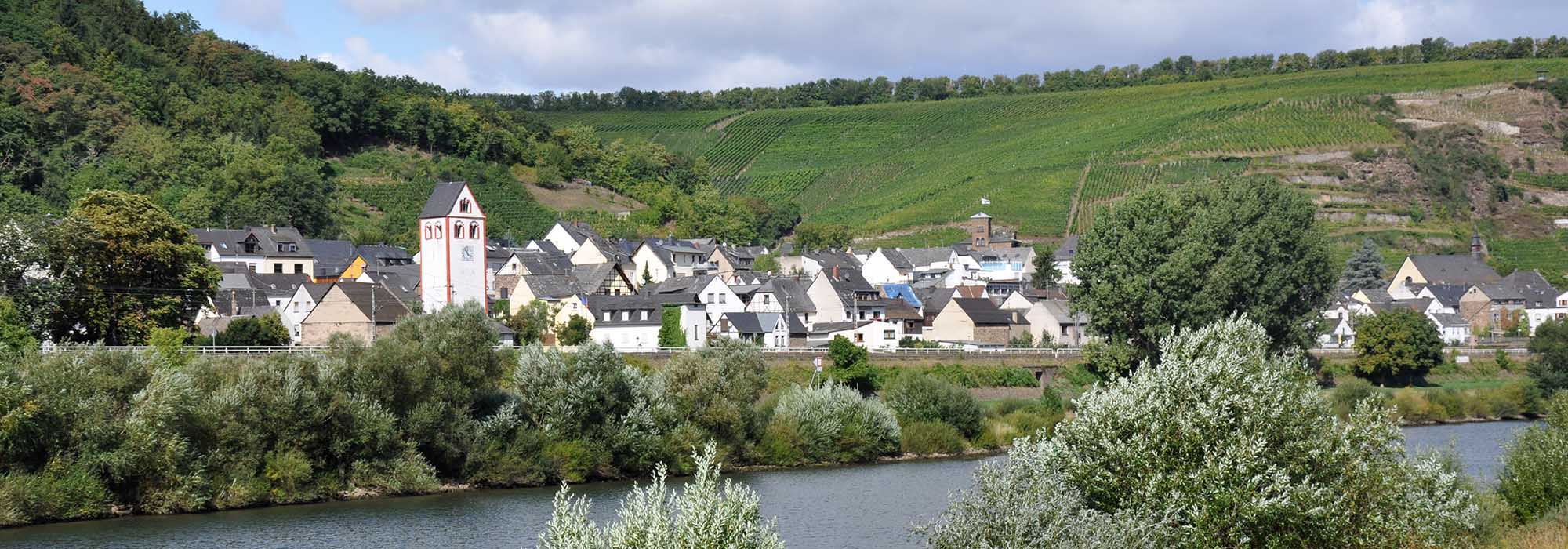 Lehmen Mosel