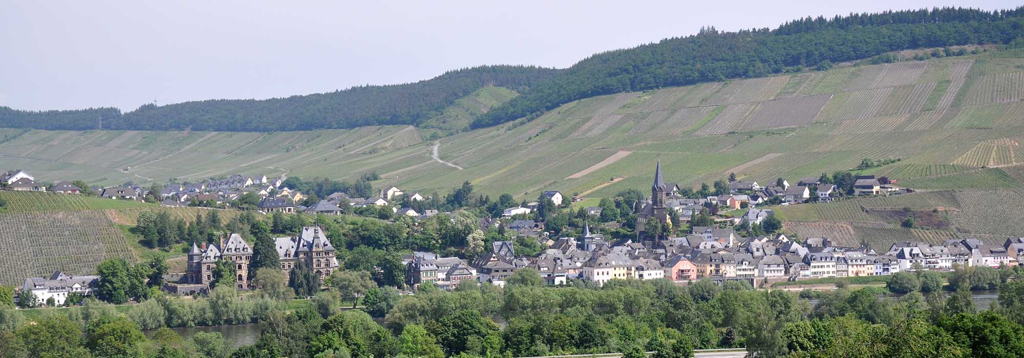 Lieser Mosel