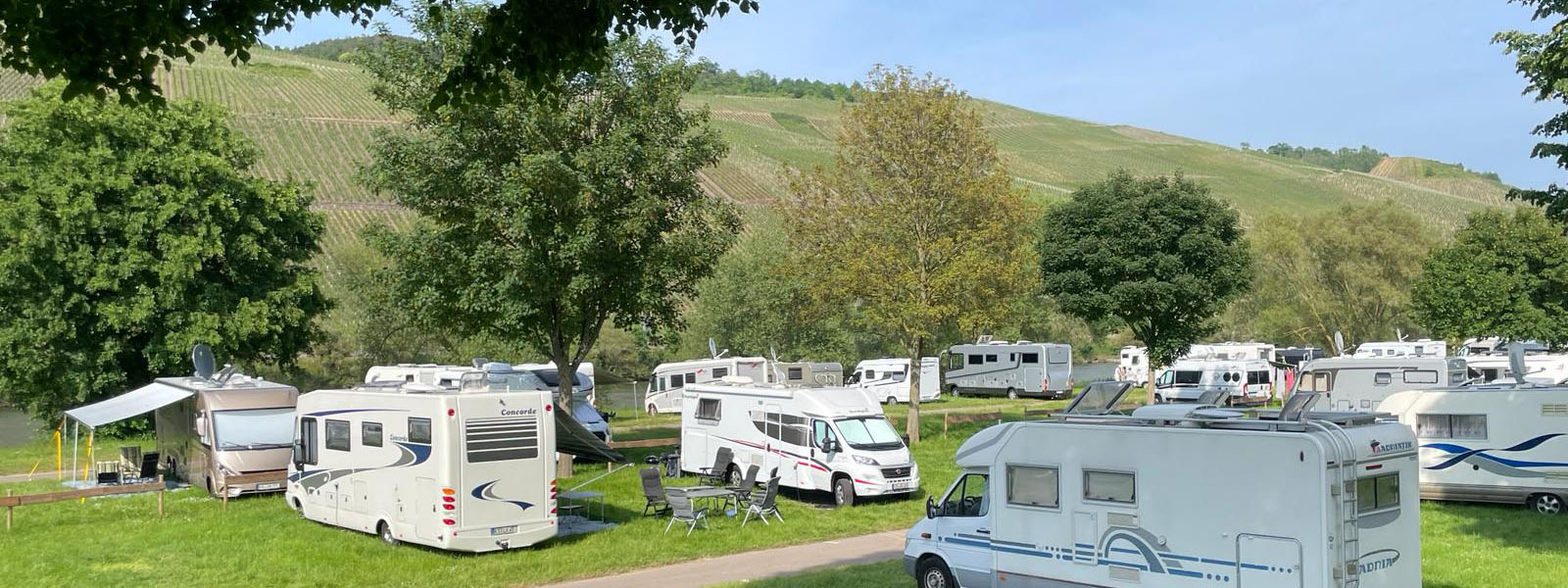 Lösnich Mosel Camping