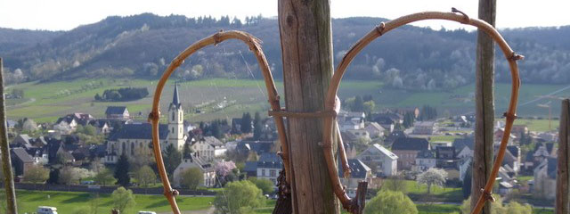 Lösnich Mosel