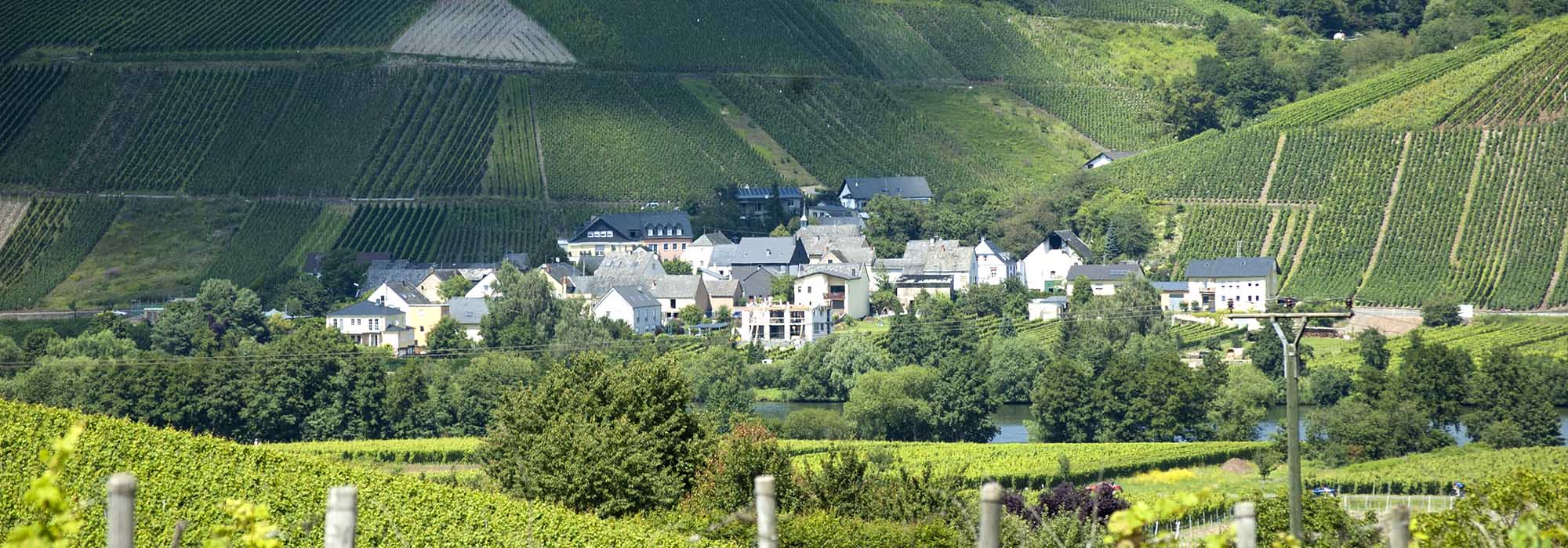 Longen Mosel
