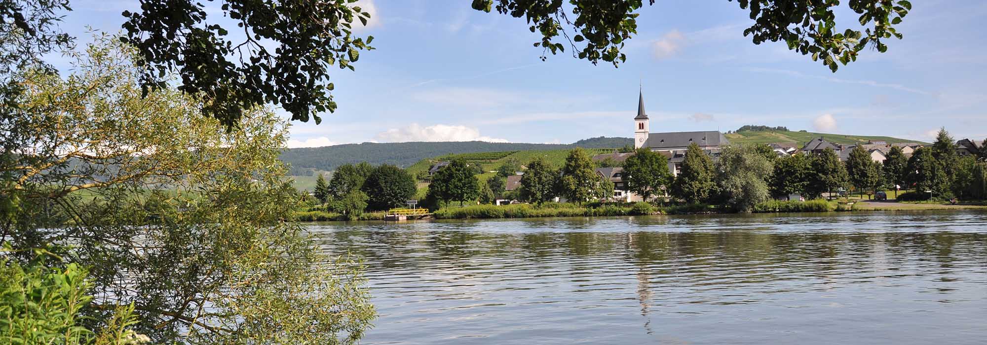 Minheim Mosel
