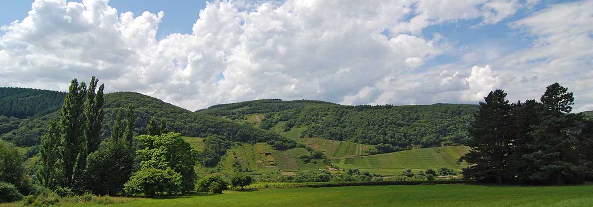 Mosellandschaft